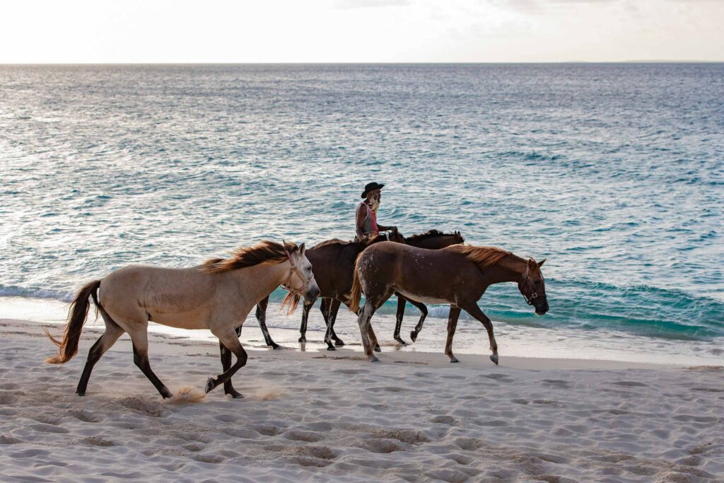 Horseback riding on the beach