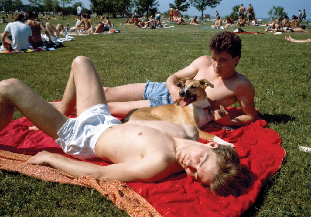 Margical waters #7 by Doug Ischar, part of an exhibition at the Chicago Museum of Contemporary Art