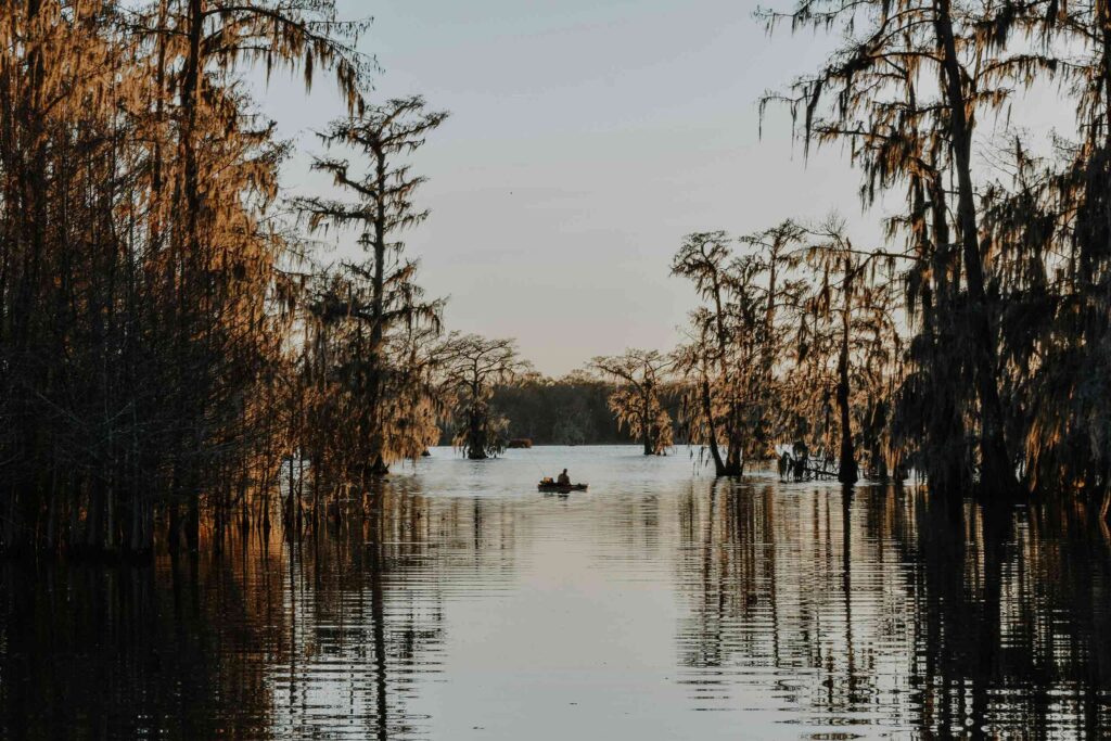 Swamp and lake fishing in Lafayette, Louisiana