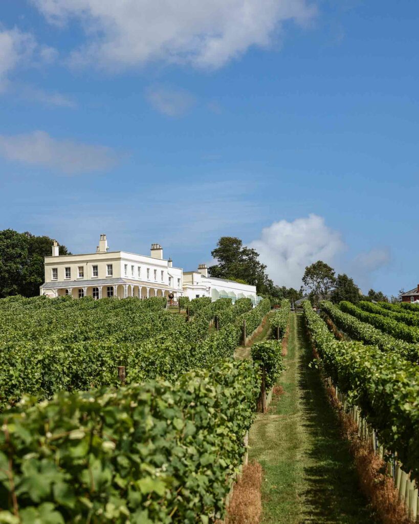 Lympstone Manor vineyards