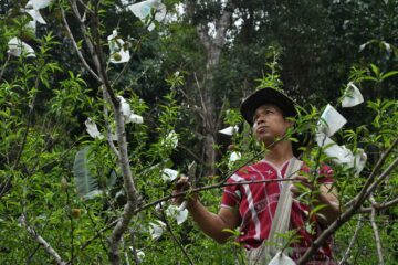A Pakayaw tribesman outside Chiang Mai, Thailand